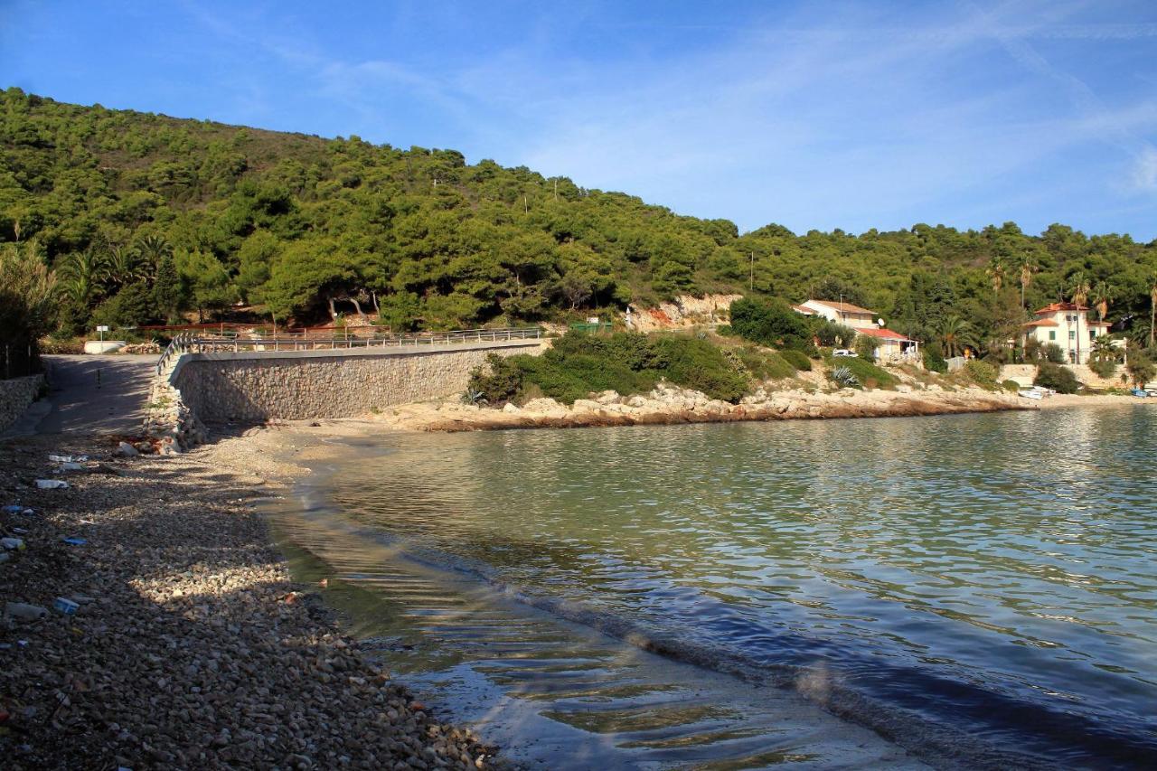 Apartments By The Sea Milna, Vis - 8895 Rukavac  Bagian luar foto
